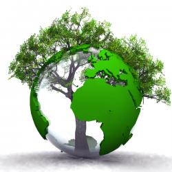Protégeons la forêt mondiale : le poumon de la planète